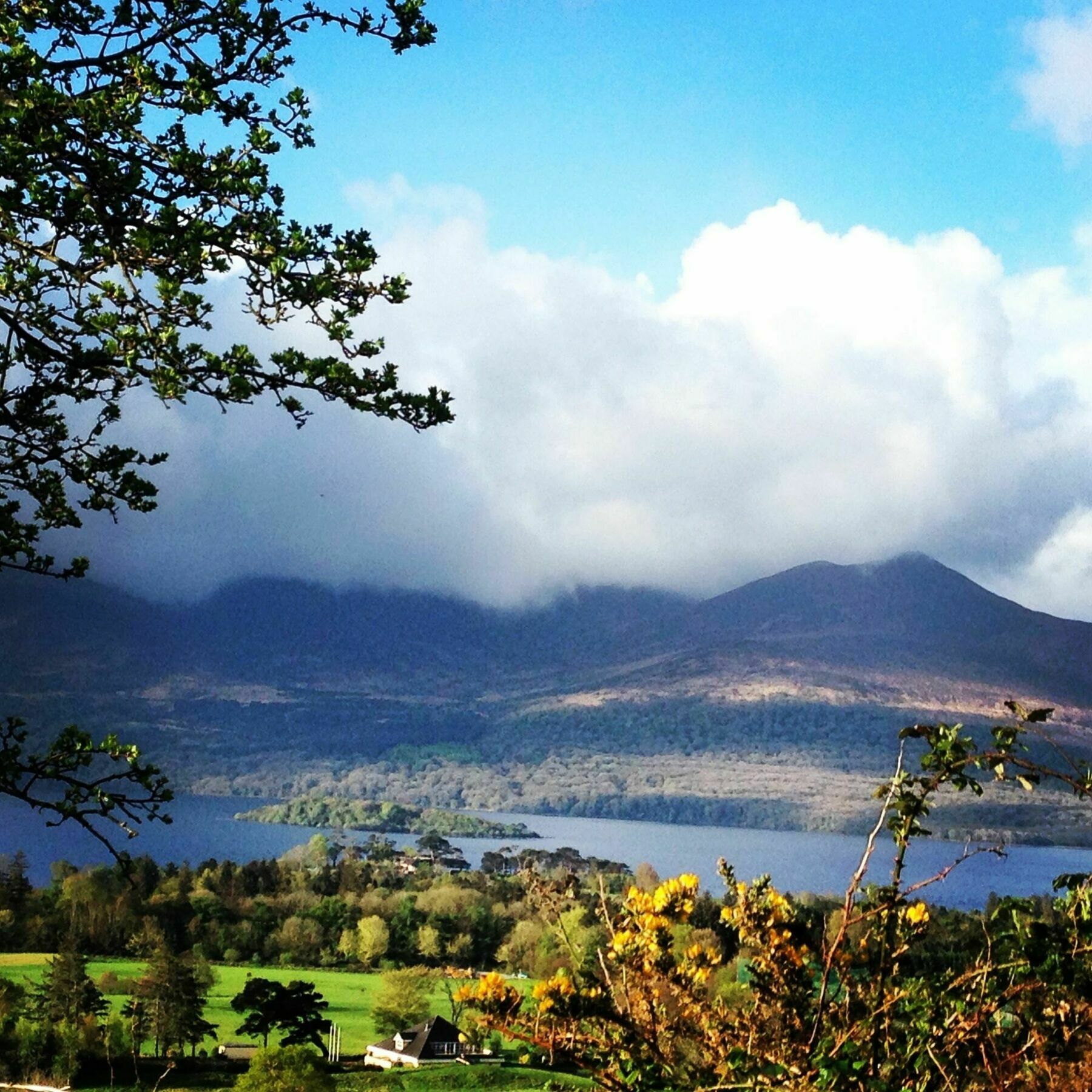 Innisfallen Hotel Killarney Eksteriør bilde